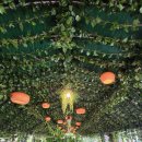 덕유산힐링존 이미지