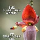 한백년 이미지
