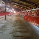 육계농장 이미지