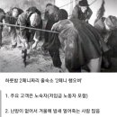 산업혁명 당시 영국 노동자 숙소 이미지