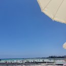 제주돈애월점