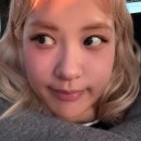 로제