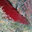 생수축산 이미지