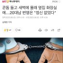 콘돔 들고 새벽에 몰래 옆집 화장실에…20대남 변명은 &#34;정신 없었다&#34; 이미지