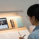 KANT | [철학산책] 칸트(Kant)의 “비판력 비판”