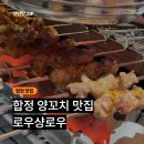 로우샹로우 | 합정 중국요리 맛집 로우샹로우 내돈내산 ㅣ 양꼬치·동파육덮밥 후기