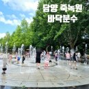 (주)태광종합00 | 담양 죽녹원 바닥분수 여름 물놀이 이용후기 담양종합체육관 무료 주차