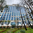 다대동물병원 이미지