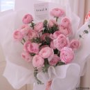 강남-164 이미지