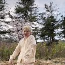 💎빛나라캐럿💎 공식 틱톡 (Darl+ing Challenge) 이미지