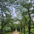 음대목장 이미지