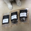 봉주르독 이미지