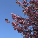 씨사이드힐 이미지