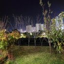 남양공원화장실 이미지