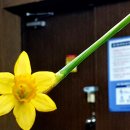 수암옥사우나 이미지