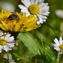 다미내과의원 이미지