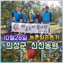 🍎마음드리봉사단 {농촌일손돕기} 후기🍎 이미지