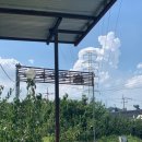 찬진농장 이미지