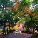 금강공원 이미지