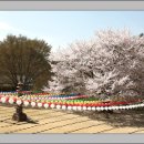 신안사 - 1393 | 신안사