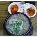 풍년순대 Daum카페