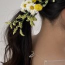 비비드 뷰티살롱 이미지