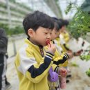 광양중마유치원 이미지