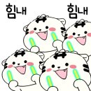 엘루나네일 이미지