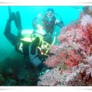 영진민박 이미지