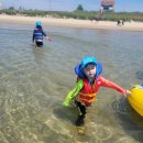 학암포하늘 이미지