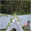 개인공간 애견펜션 이미지