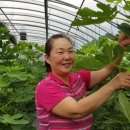 호정농장 이미지