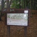 등나무1,2,3.길 이미지