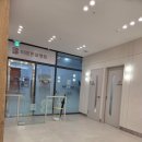 드림동물병원 | ​[내돈내산] 수원 당수동 '바로 동물병원' 방문 후기(강아지 귓병 치료)