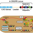 생활 컴퓨터 활용 이미지