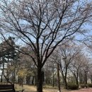 맑은세상 임준석 동물병원 | [보보일기/웰케어] 단두종 보보의 강아지 눈영양제 건강 관리 시작! (핵경화 &amp; 웰케어 O/V 급여 후기)