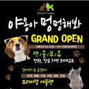 야옹아멍멍해봐 장유점 이미지