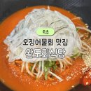 새벽 | 강원도 속초 완도회식당 오징어물회 맛집 연휴 새벽6시 웨이팅 후기