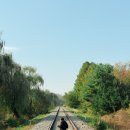 남부수자원생태공원 이미지