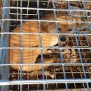 철성초등학교 이미지