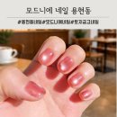 모드니에 | 용현동 웨딩전문 네일샵 모드니에 겨울 자석 젤네일 컬러