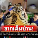 [태국 뉴스] 12월 1일 정치, 경제, 사회, 문화 이미지