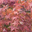 부흥부동산공인중개사사무소 이미지