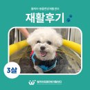 웰케어 동물건강검진센터·동물한방재활센터 이미지