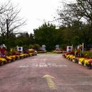 코스모스드림 이미지