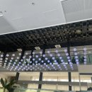 하루(Haru) 이미지