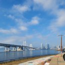 수영강변 이미지