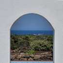 그날 오후 | 제주 독채 풀빌라 그날오후 후기