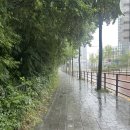 지우헤어 - 남양주시 | 개포동 미용실 아이디헤어 개포자이스퀘어점 지우 부원장 염색 후기