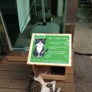 동물병원도담도담 이미지